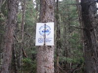 David Thompson Trail